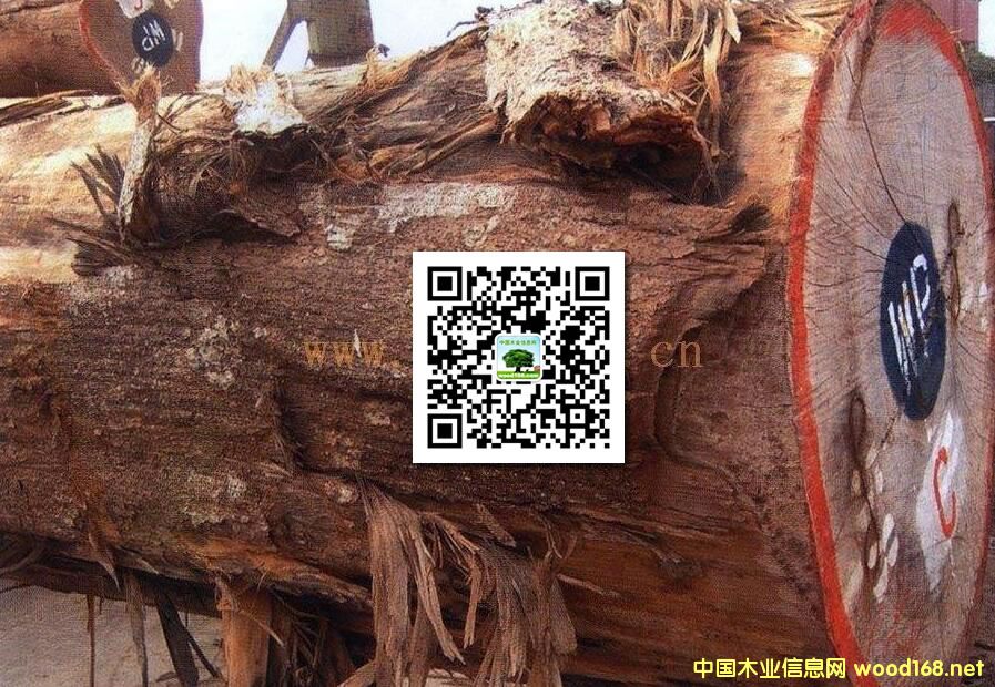 ľİٿƣSOţȸľSuٽzľ