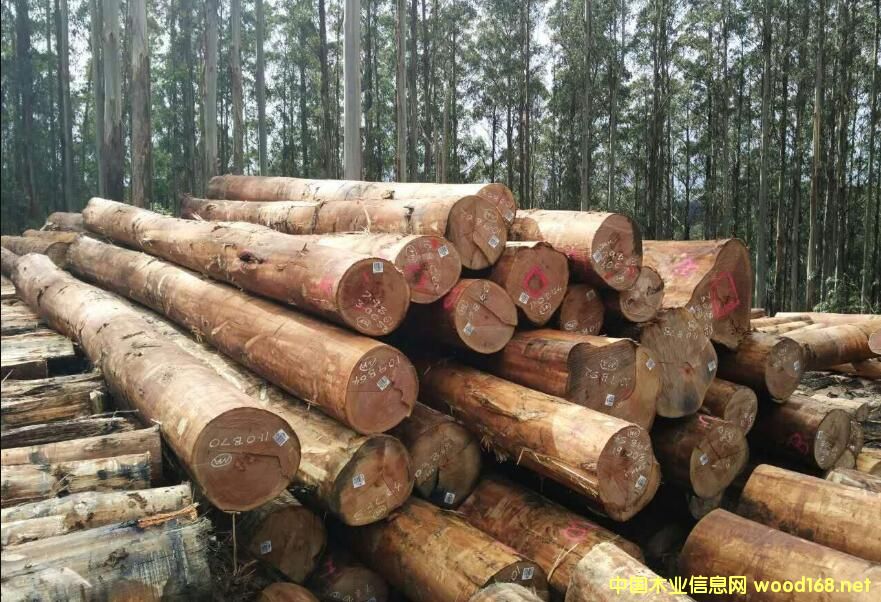 ̫}(cng)۰M(jn)څ(wn) M(jn)ڰĴԭľq_(d)λ