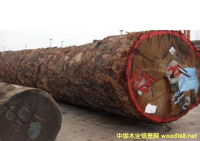 µڂߟЈ(chng) r(ji)̼ҡ哌