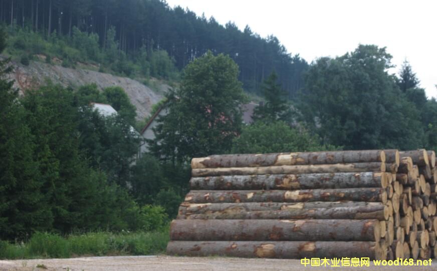 _؁ľĹ˾(zhn)2017Ȳɷ~