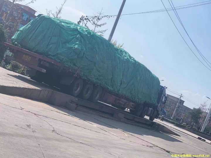 的詳細(xì)介紹