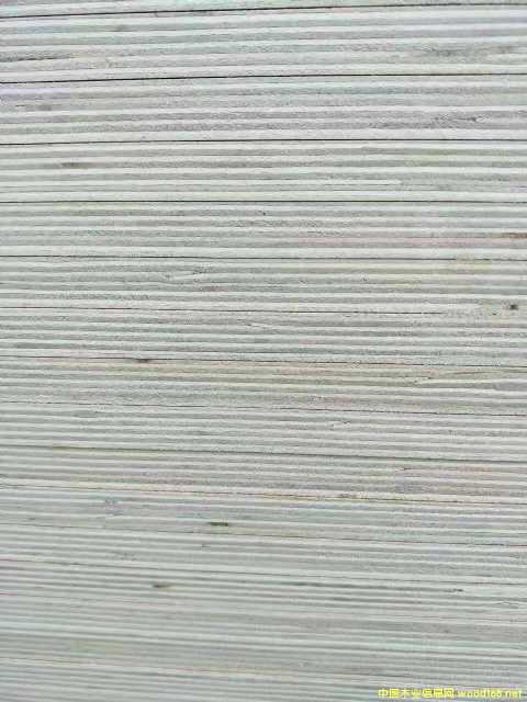 的詳細(xì)介紹