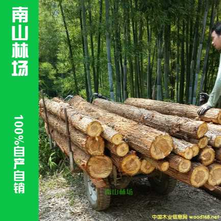 ֈֱ-ɼľ ɼľlɼľ ʹľ 