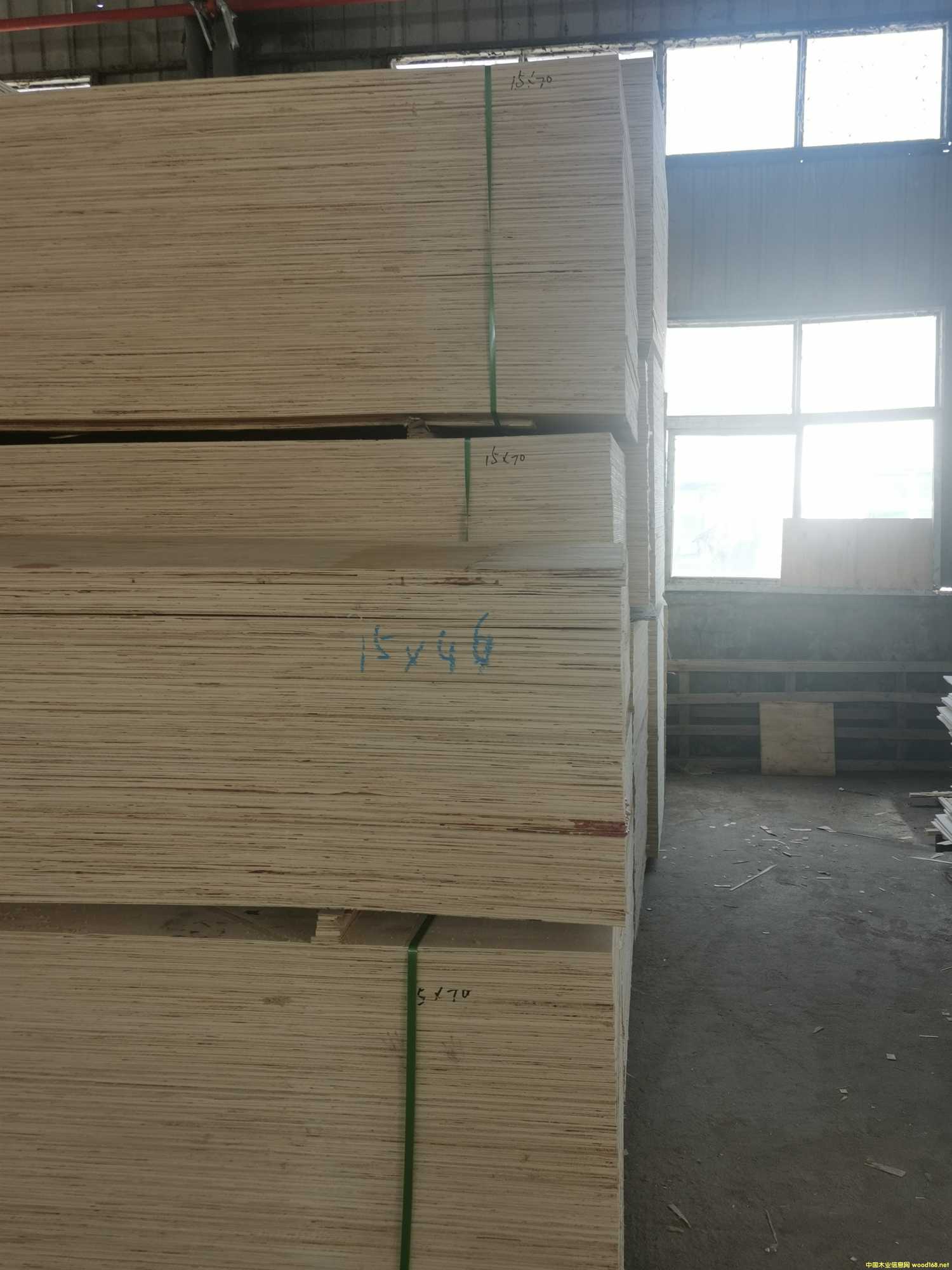 CARBP2E1E2 ľʮ ɳl(f) ɶ