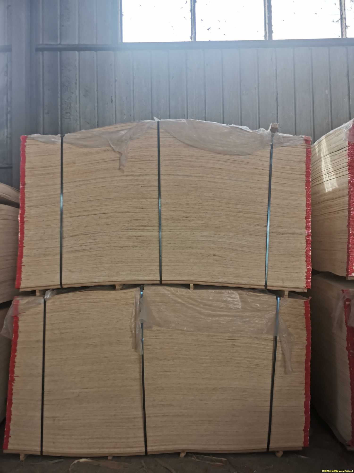 CARBP2  ɳl(f)Ԕ(x)B