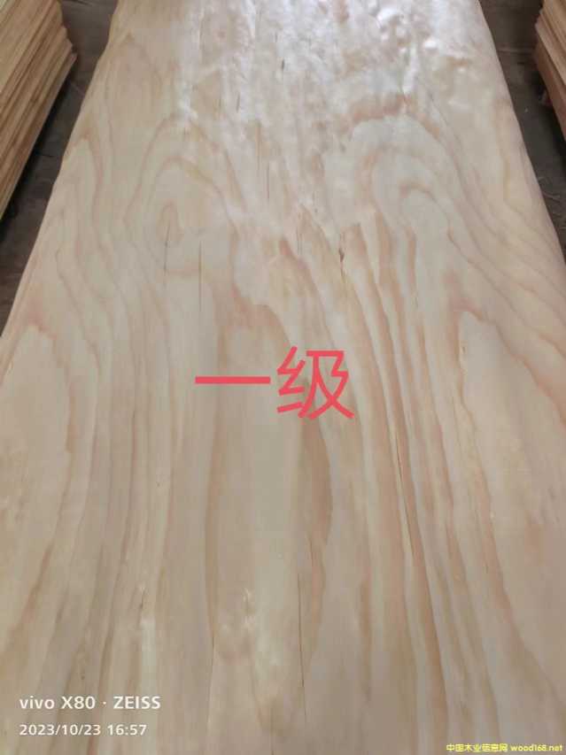 的詳細(xì)介紹