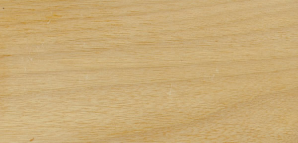 ľģTauari Rosa հԔ(x)B