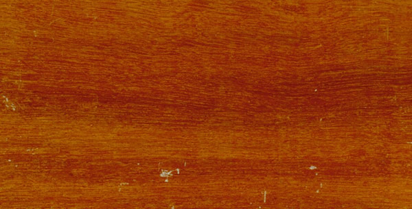 ľģMassaranduba t̴Ԕ(x)B