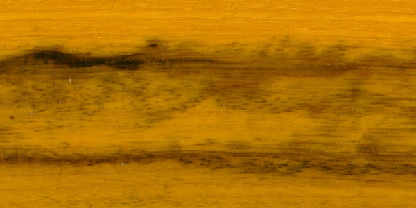 ľģSucupira AmarelaԔ(x)B